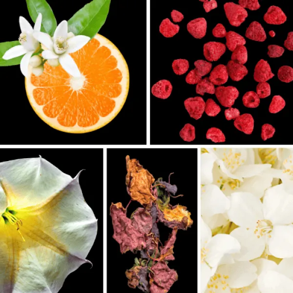 Duftnoten: Orangenblüte, Himbeere, Stechapfel, Patschuli, Jasmin Duftnoten: Orangenblüte, Himbeere, Stechapfel, Patschuli, Jasmin